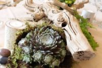 a gorgeous beach wedding centerpiece of driftwood, moss, succulents and pebbles plus greenery