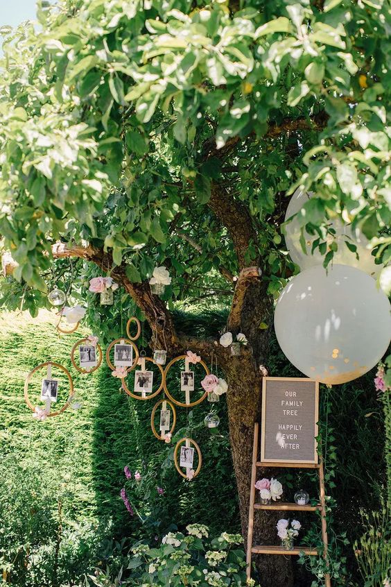 a living tree with blooms and photos hanging in embroidery hoops, with a ladder and some balloons is a lovely idea