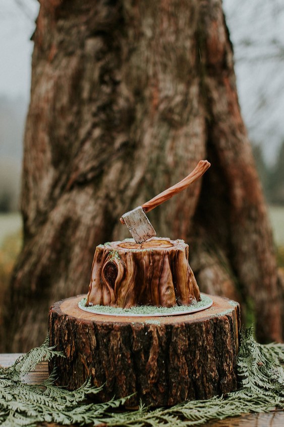 a lumberjack groom's cake showing a tree stump and an axe looks very cool and will fit a rustic party or a party of a hiker