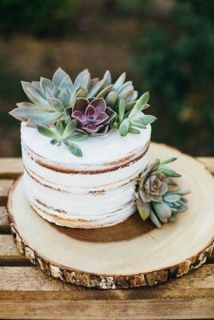 a naked wedding cake with fresh succulents on top and sides will fit both a rustic and boho chic wedding