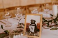 place a photo of your pet with a table number on each table to honor your beloved pet