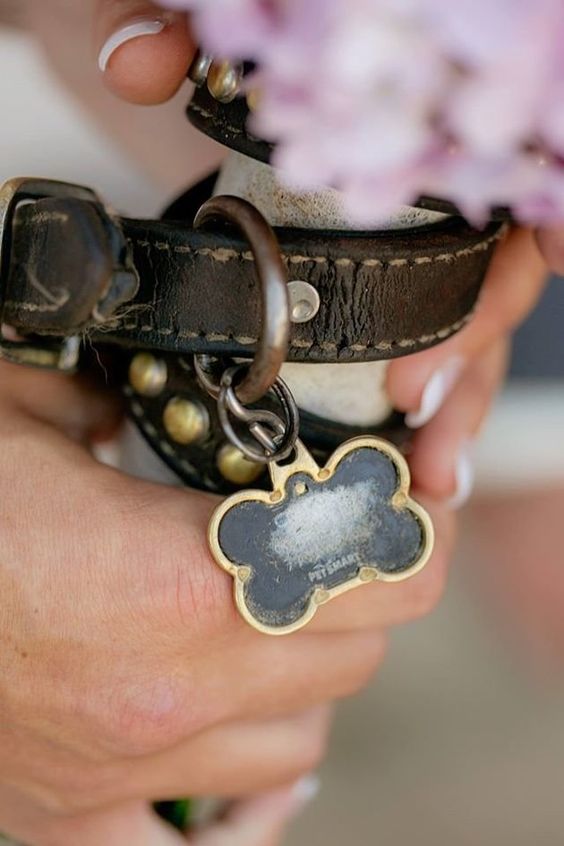 wrap your wedding bouquet with your loved but lost dog's collar with a name, it's a cool and lovely idea