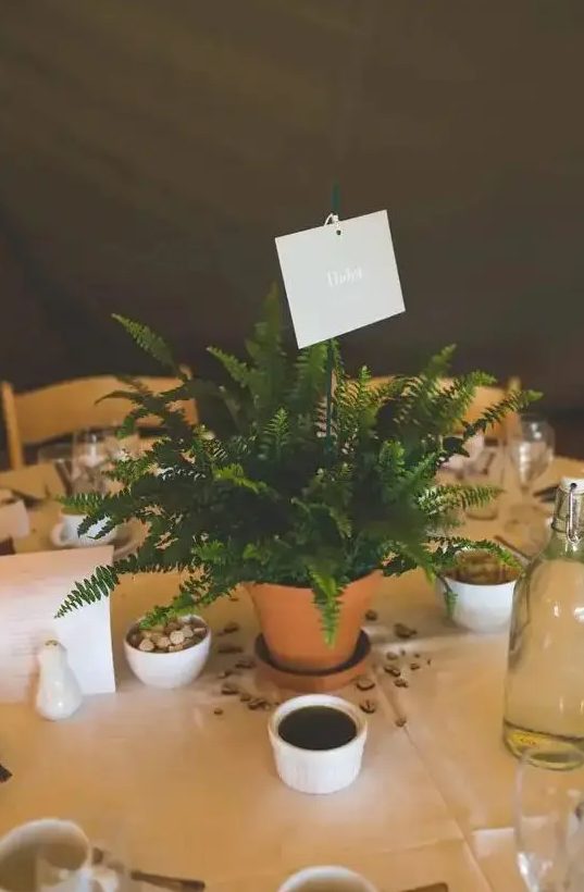 a potted fern with a name of the table is a cute and fresh wedding centerpiece for a woodland celebration