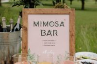 create a cool mimosa bar with various refreshing drinks, berries, fruit and champagne