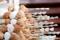 fun s’more kebobs will be a nice dessert at the bridal shower, they are enjoyable