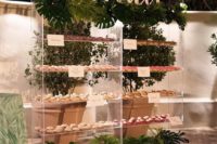 an acrylic donut wall with shelves with lush tropical greenery for a modern wedding