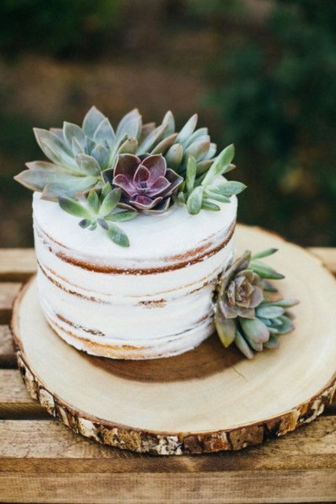a naked cake topped with succulents is a trendy idea for any wedding, there are two trends in one