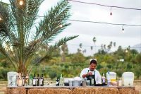 a rustic wedding drink bar covered with hay, with a tropical plant is a veyr unusual and creative solution to rock