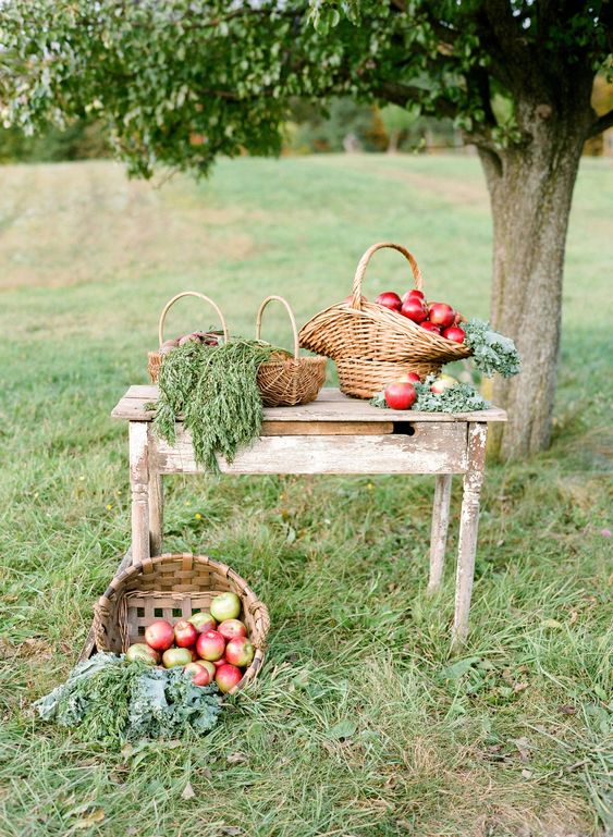 rustic wedding decor with a shabby chic table, greenery and baskets with apples and greenery is easy to compose