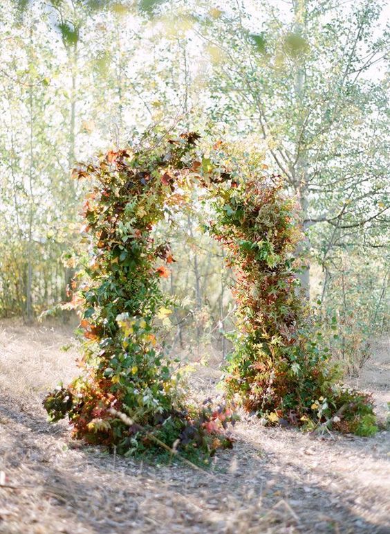 a fall wedding arch covered with greenery and bold leaves is a cool solution for a nature-infused wedding