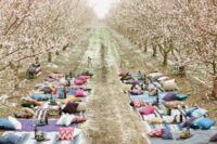 comfy pillows, bottles of wine, and snacks to picnic blankets are amazing for this orchard spring wedding ceremony