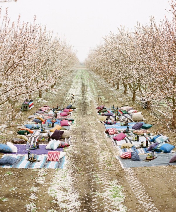 comfy pillows, bottles of wine, and snacks to picnic blankets are amazing for this orchard spring wedding ceremony