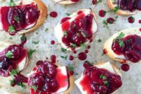 crackers with cheese and cranberry compote plus herbs on top are amazing for fall or winter