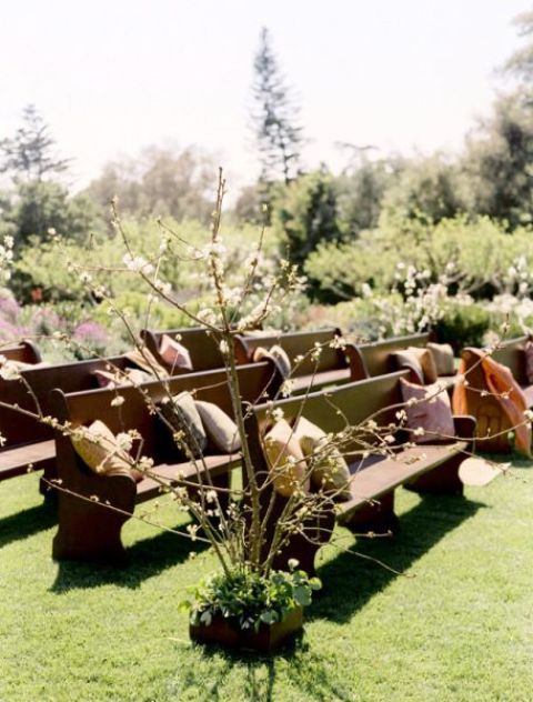 dark-stained benches with lots of pillows, some blooming trees and branches are great for a rustic spring wedding