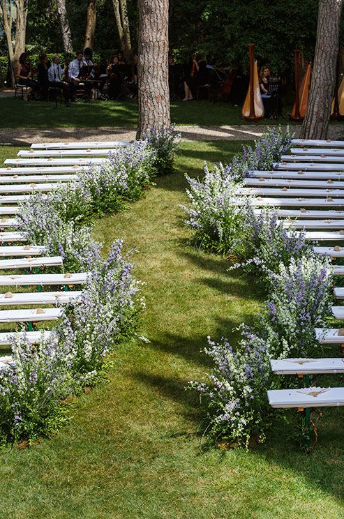white benches, blooming branches perfectly lining up the aisle create a neturally beautiful look as if these blooms are growing here