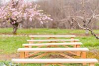 wooden benches are all you need for a beautiful wedding ceremony in a blooming orchard, here nothing distracts attention from the scenery