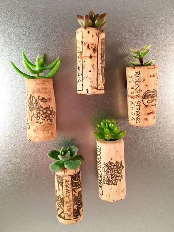 succulents planted into wine corks are a cool idea for wedding favors, you may also go for air plants