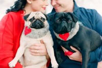 a cozy and sweet Valentine engagement photo with the couple’s dogs dressed up in heart scarves and looking cool