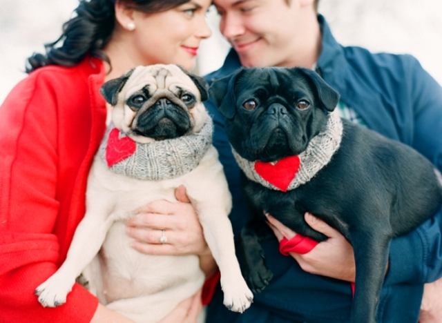 a cozy and sweet Valentine engagement photo with the couple's dogs dressed up in heart scarves and looking cool