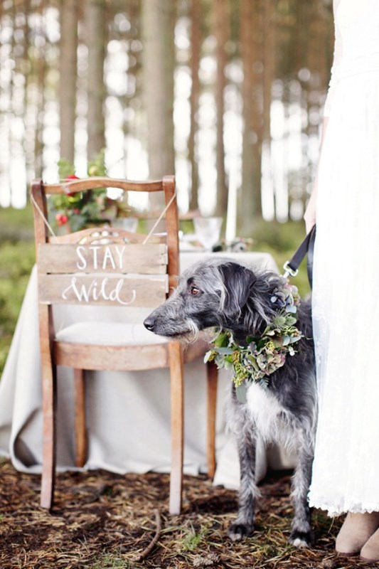 Picture Of cozy and romantic wild woodland bridal elopement shoot  8