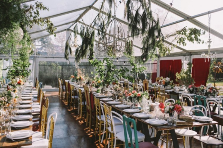 a botanical wedding venue with greenery hanging over the space, burgundy curtains, bold blooms and mismatching chair for a touch of fun