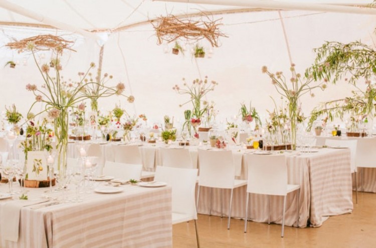 a cool botanical wedding reception space decorated with vine chandeliers, pink blooms and greenery and colorful pots to make the space whimsy