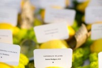 wedding seating cards displayed on lemons and moss are amazing – such decor gives a lovely bright look to the wedding