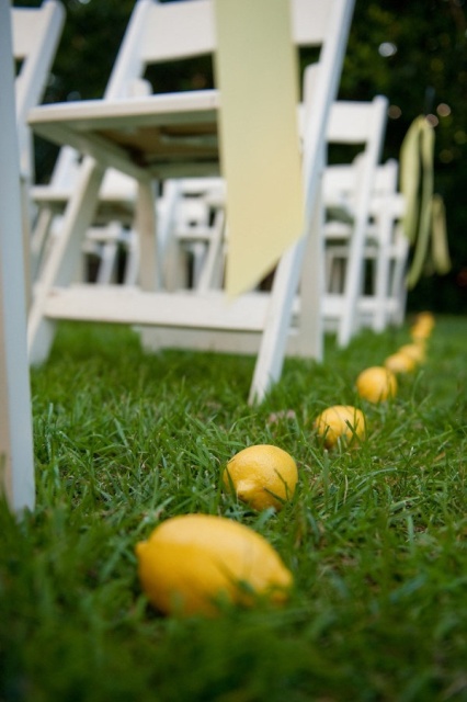 Picture Of Juicy Ideas To Incorporate Lemons Into Your Wedding 21