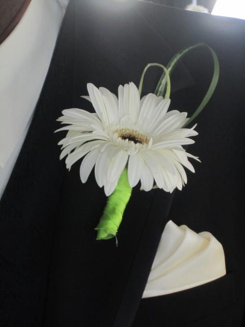 a white gerbera wedding boutonniere is an elegant and cool accessory for a wedding