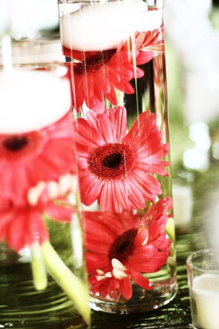 a bold decoration of a tall glass vase with bold red gerberas and a floating candle is a lovely idea for a wedding centerpiece