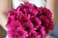 a super bold hot pink gerbera wedding bouquet is a bright and cool idea for a wedding, it won’t break the bank