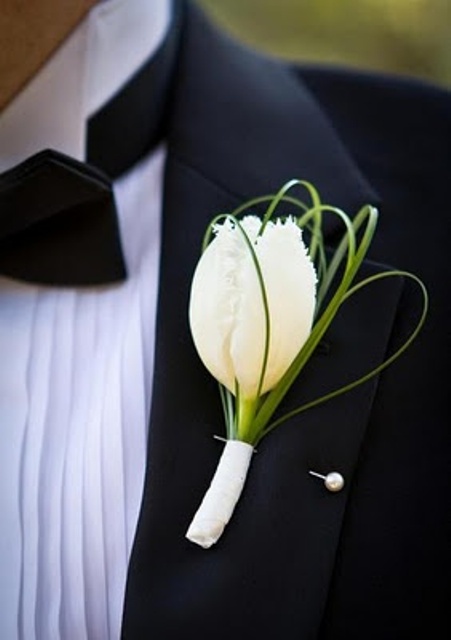 a refined wedding boutonniere of a white tulips and some greenery is a delicate and chic idea for a groom, it can be paired with a usual suit or a tux