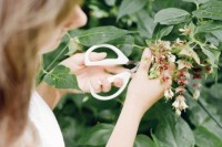 DIY Garden-Inspired Floral Centerpiece For Your Wedding2