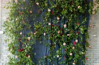 a bold wedding backdrop of navy curtains, greenery, pink and red blooms is a stunning and chic idea