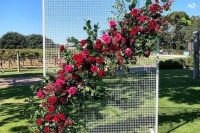 a mesh wedding backdrop with lots of greenery, fuchsia, pink and burgundy blooms attached is a stunning and bold idea