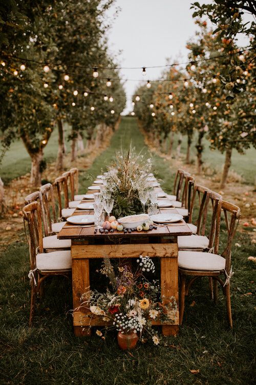 a rustic outdoor wedding reception space with a wooden dining table, fruits and berries on the table, greenery and grasses for centerpieces and bulbs over the space