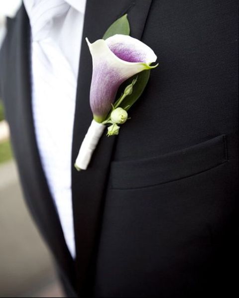 a purple calla lily with greenery is a chic idea of a wedding boutonniere, it will add a bit of color to the outfit