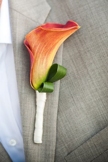 a peachy calla lily boutonniere is a chic and stylish idea for a wedding, it adds color and interest to the look