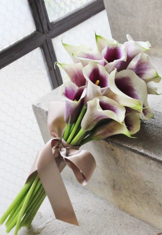 a purple calla lily wedding bouquet with a dusty pink ribbon bow is a classic idea with a touch of color
