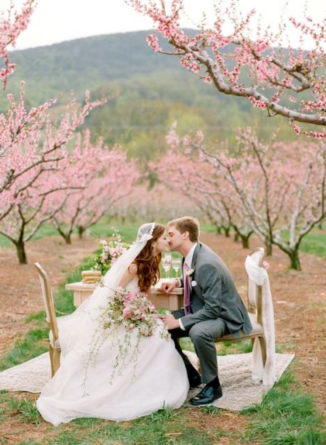 an elopement wedding reception right in the cherry field, with blooming trees around is a lovely idea to rock