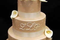 a tan-colored wedding cake with polka dots, white ribbons, white orchids on top and monograms is a very elegant and refined idea to rock