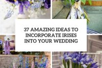 37 amazing ideas to incorporate irises into your wedding cover