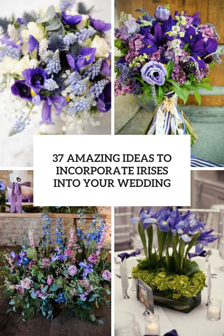 amazing ideas to incorporate irises into your wedding cover