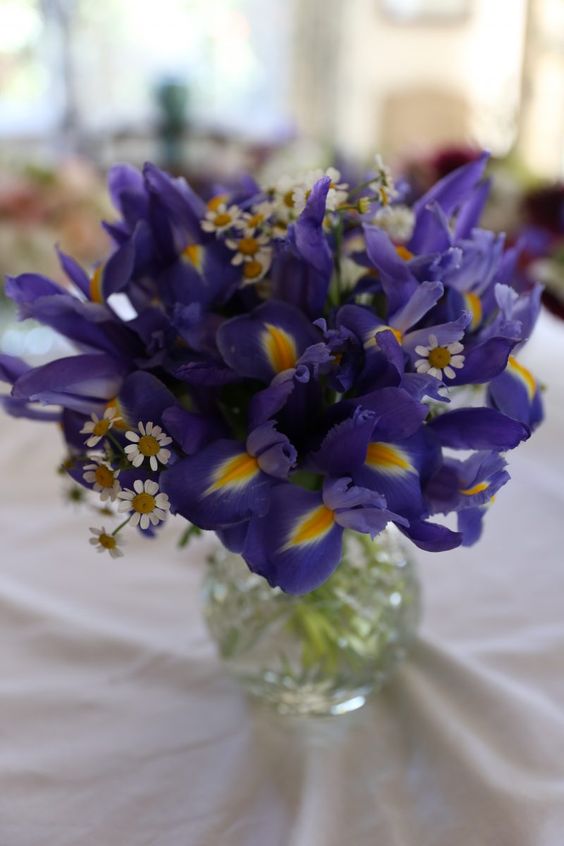 a pretty wedding centerpiece of blue irises and some chamomiles is a lovely idea for a bright wedding in summer or spring