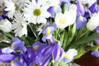 a wedding centerpiece of white tulips, chamomiles and blue irises is a gorgeous idea with plenty of color