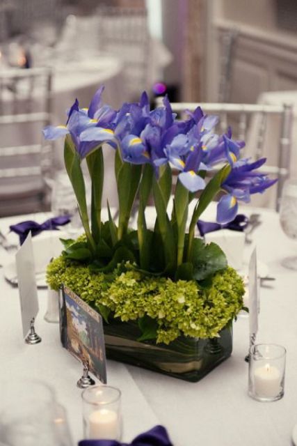 a wooden box with green hydrangeas and irises is a great and easy spring wedding centerpiece idea and it feels very fresh