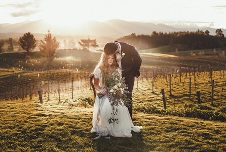 Intimate And Romantic Vineyard Wedding Shoot
