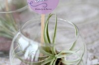 a wedding favor of a glass bubble with an air plant and a tag on top is a stylish idea of a wedding favor, and soil inside can be skipped