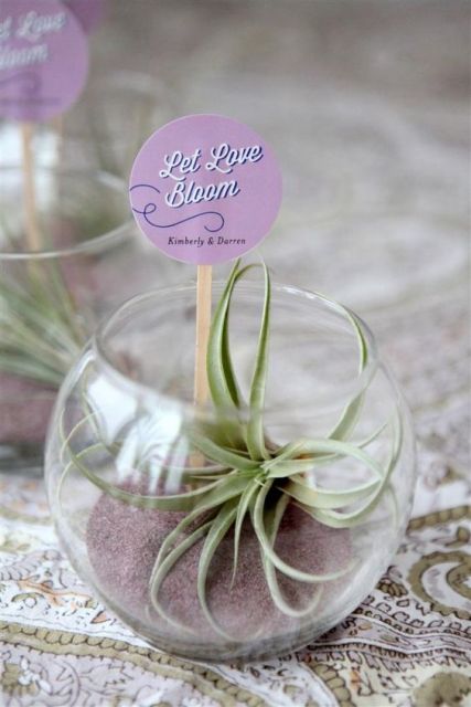Original Ideas To Incorporate Airplants Into Your Wedding