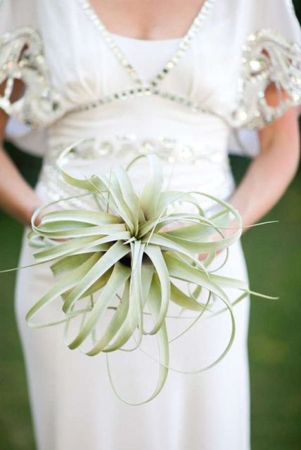 a large wedding bouquet composed of a single air plant is a lovely idea for a modern wedding, it can accent your look a lot giving it an edgy feel